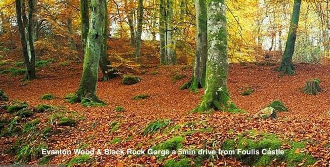 Foulis Castle Gate Lodge Evanton Экстерьер фото